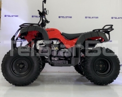 ATV TS-220 220cc SPORT висок клас окачване с големи гуми и усилена рама снимка 117