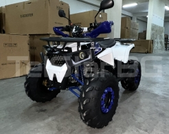 ATV TELSTAR DAZZLE LONG 150сс дълга база с 8'' гуми, автоматична скоростна кутия снимка 136