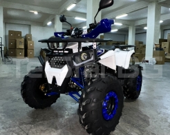 ATV TELSTAR DAZZLE LONG 150сс дълга база с 8'' гуми, автоматична скоростна кутия снимка 136