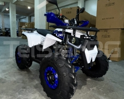ATV TELSTAR DAZZLE LONG 150сс дълга база с 8'' гуми, автоматична скоростна кутия снимка 136