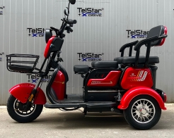 Триместна електрическа триколка TS 350-7-1 UNIVERSAL 1500W 25Ah снимка 114