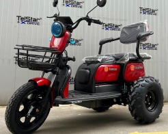 Триместна електрическа триколка OFFROAD ДЕЗЪРТ TS 350-7-NEW 2500W 25Ah снимка 210