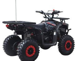 Детско бензиново ATV 49сс TELSTAR SIRIUS с електрически стартер снимка 274