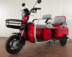 Двуместна електрическа триколка 005 с карго отделение 1500W 60V 23Ah снимка 294