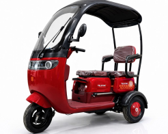 Триместна електрическа триколка TS 350-7 ROOF 2000W 25Ah снимка 291